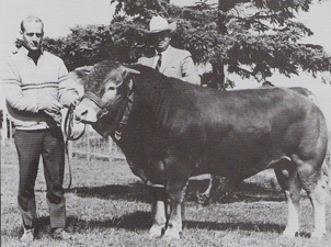 Summerfield Farms